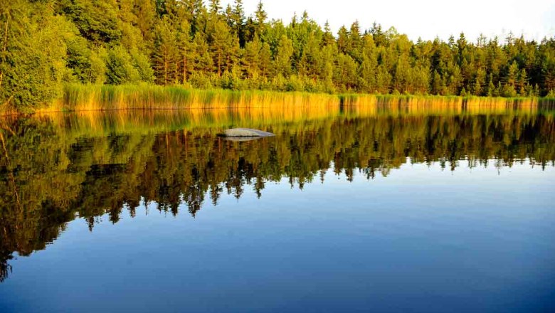 Naturpark Heidenreichsteiner Moor, © Niederösterreich-Werbung/Rita Newman