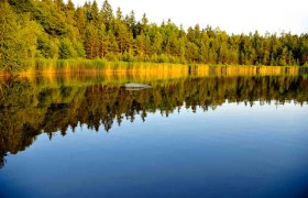 Naturpark Heidenreichsteiner Moor, © Niederösterreich-Werbung/Rita Newman