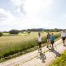 Vier Personen beim Nordic Walking auf einem Feldweg in einer ländlichen Landschaft.