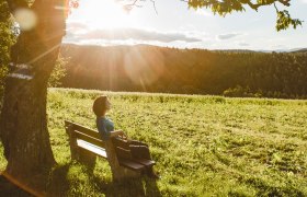 Eine Frau sitzt auf einer Bank unter einem Baum und genießt die Sonne in einer ländlichen Landschaft.