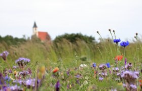 Wiese mit bunten Blumen und unscharfem Kloster im Hintergrund.